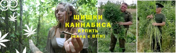 тгк Покровск