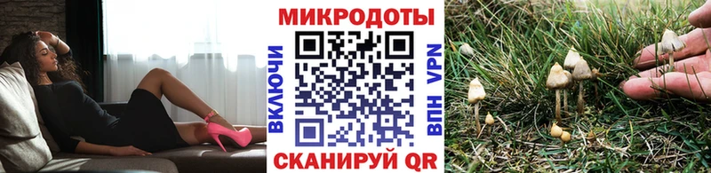 Галлюциногенные грибы мицелий  Белинский 